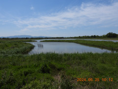 DSCN1176.JPG