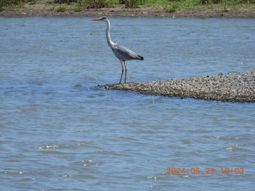 DSCN1174.JPG