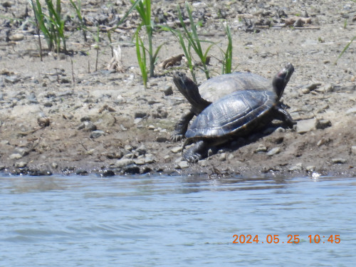 DSCN1190.JPG