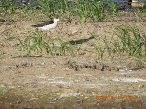 DSCN1208.JPG