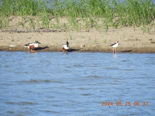 DSCN1209.JPG