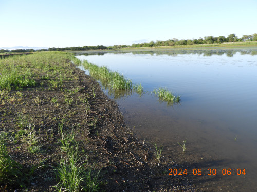 DSCN1222.JPG