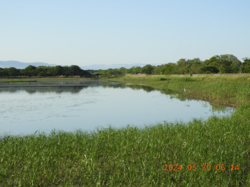 DSCN1225.JPG