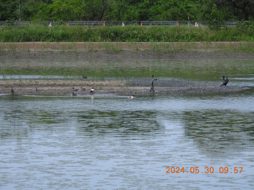 DSCN9815.JPG