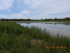 DSCN9816.JPG