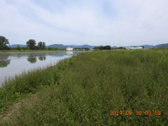 DSCN9818.JPG