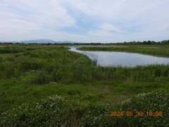 DSCN9826.JPG