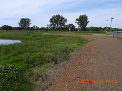 DSCN9827.JPG