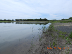 DSCN9835.JPG