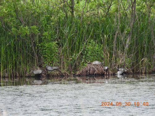 DSCN9836.JPG