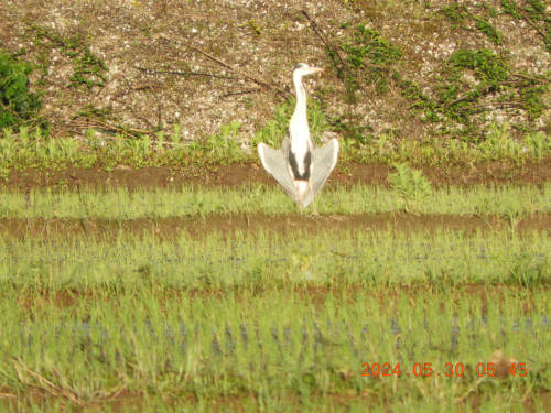 DSCN1213.JPG