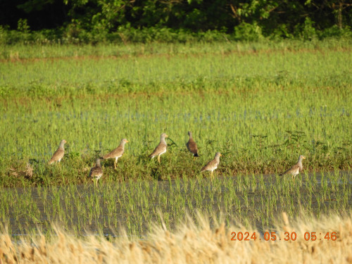DSCN1214.JPG