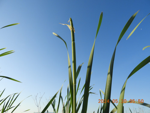 DSCN1218.JPG