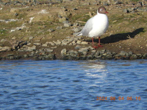 DSCN9888.JPG