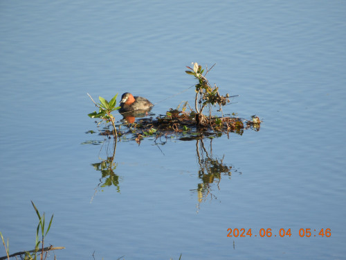 DSCN9865.JPG