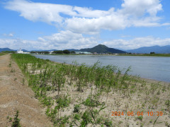 DSCN9930.JPG
