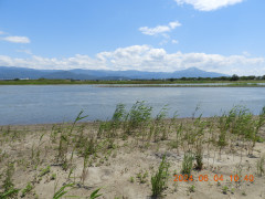 DSCN9931.JPG