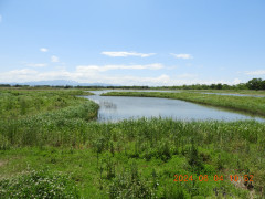 DSCN9941.JPG