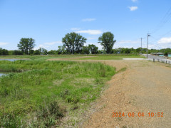 DSCN9942.JPG