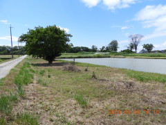 DSCN9925.JPG