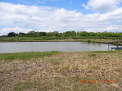 DSCN9926.JPG