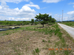 DSCN9927.JPG