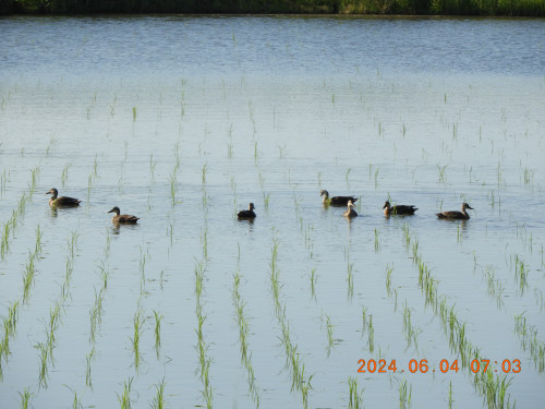 DSCN9913.JPG