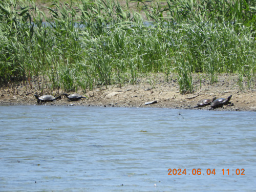 DSCN9948.JPG