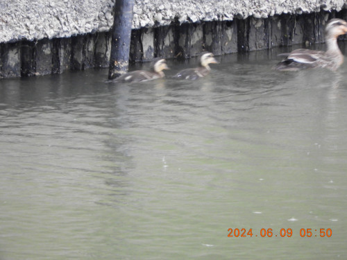 DSCN9951.JPG