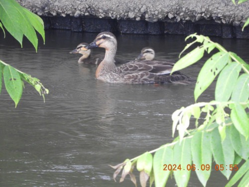 DSCN9957.JPG