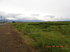 DSCN9970.JPG