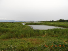 DSCN9971.JPG