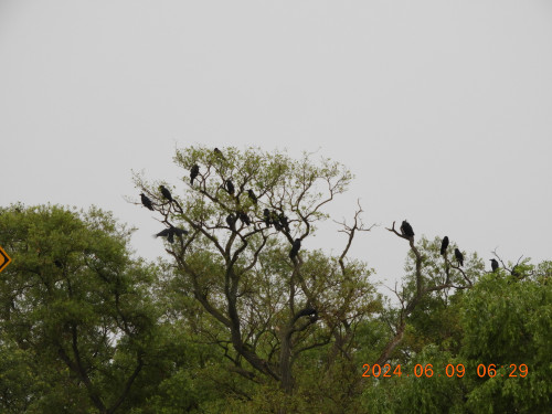 DSCN9977.JPG