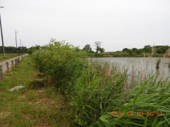 DSCN9984.JPG