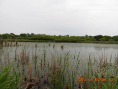 DSCN9985.JPG