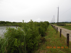 DSCN9986.JPG