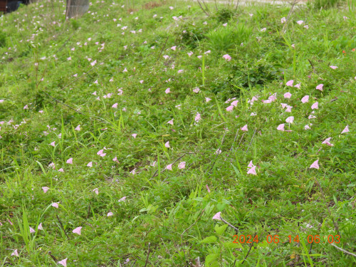 DSCN0013.JPG