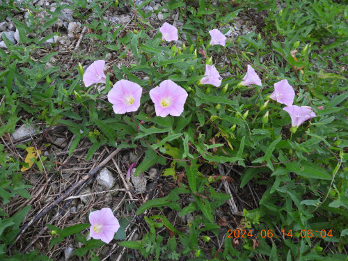 DSCN0015.JPG