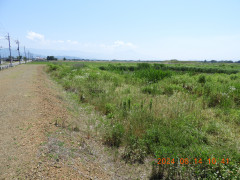 DSCN0061.JPG