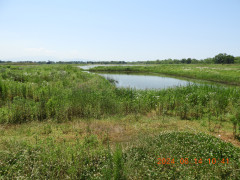 DSCN0062.JPG