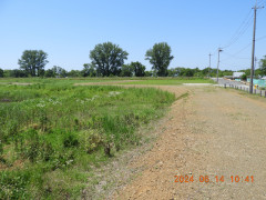 DSCN0063.JPG