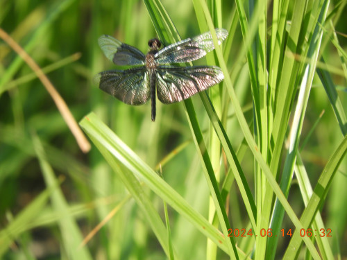DSCN0037.JPG