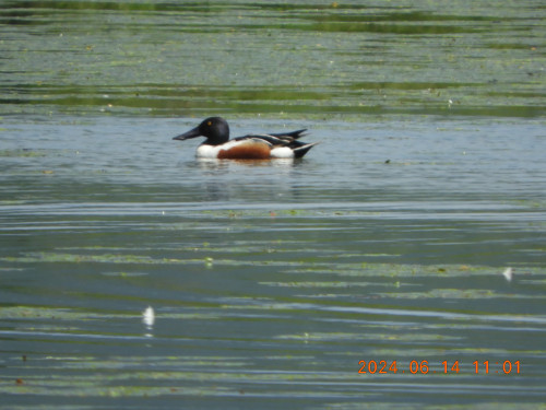 DSCN0075.JPG