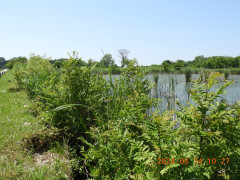 DSCN0053.JPG