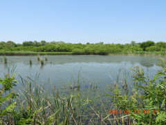 DSCN0054.JPG