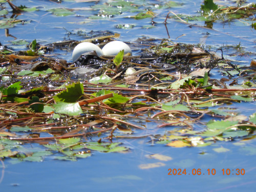 DSCN0001.JPG