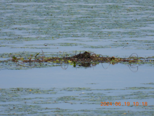 DSCN0120.JPG