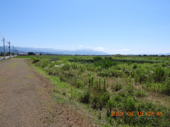 DSCN0101.JPG