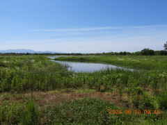 DSCN0102 - コピー.JPG