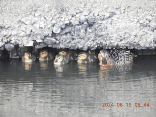 DSCN0092.JPG